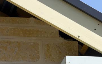 soffit repair Tarrington Common