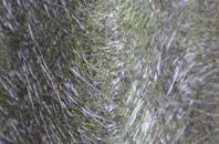 Tarrington Common fibreglass roof work